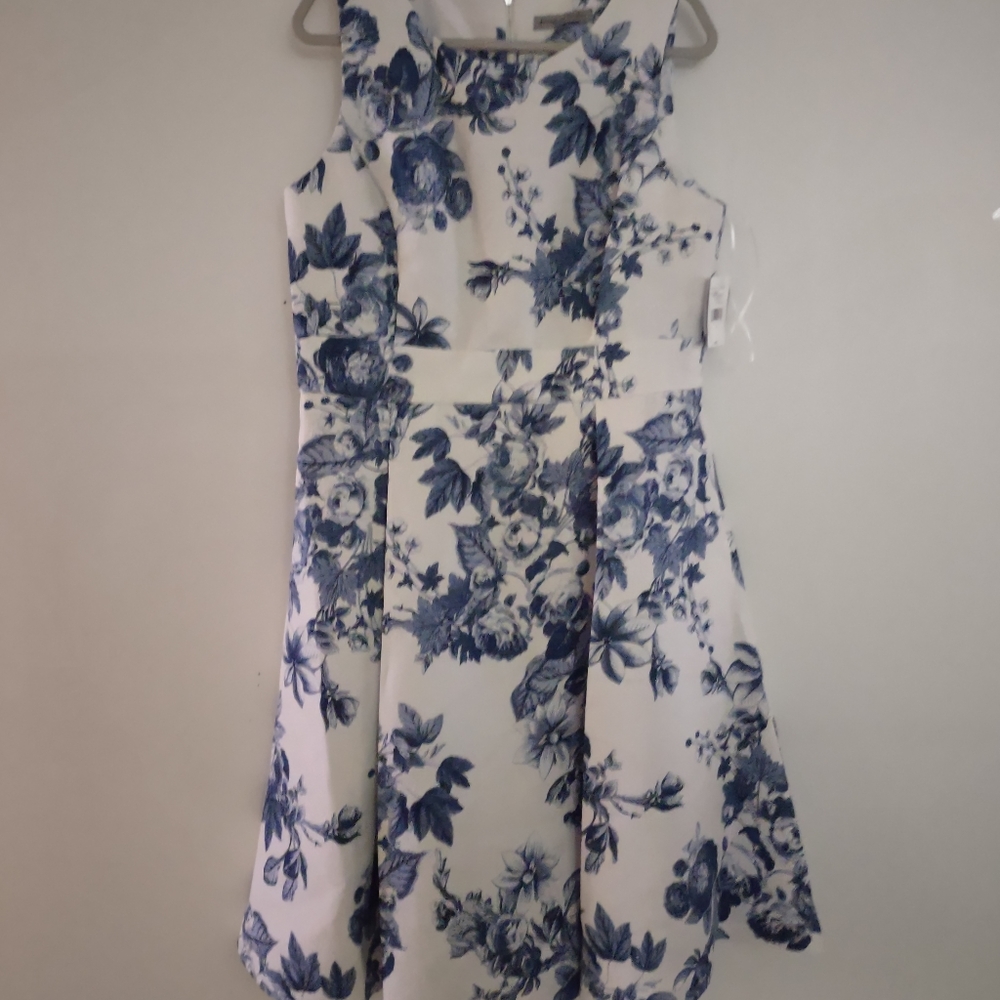 Danny and Nicole Dress